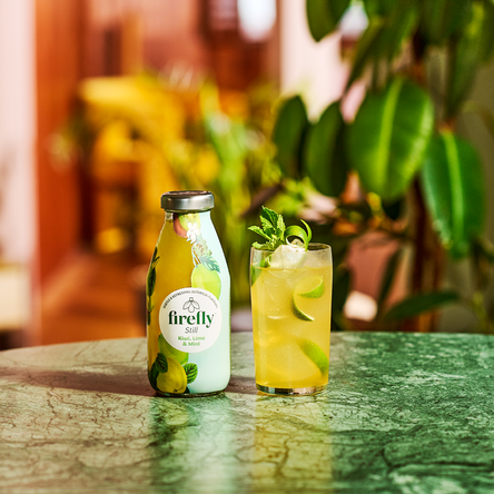 KIWI, LIME & MINT (12 X 330ML)