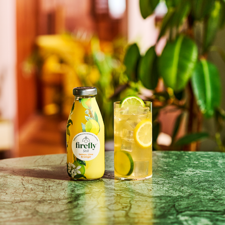 LEMON, LIME & GINGER (12 X 330ML)